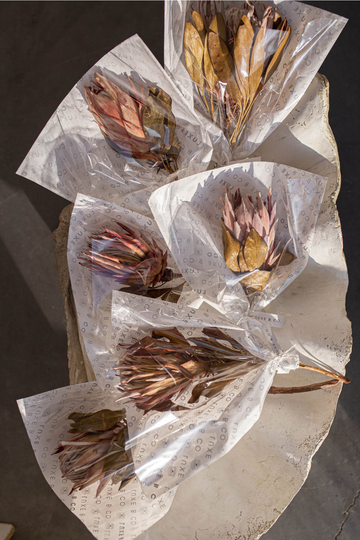 Protea Lilac Tones Stems