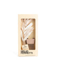 Dried Palm Scent Diffuser